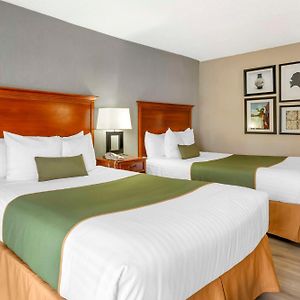 Double Room Two Double Beds Non-Smoking
